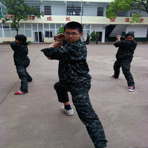 网瘾教学案例3d.jpg